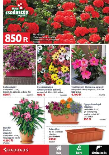 thumbnail - Virágok és növények