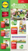 leaflet