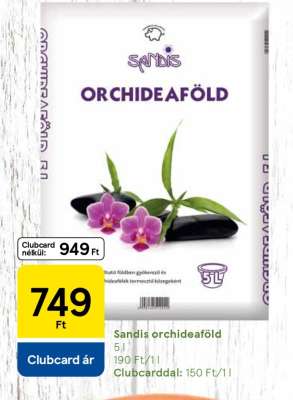 Sandis orchidea föld