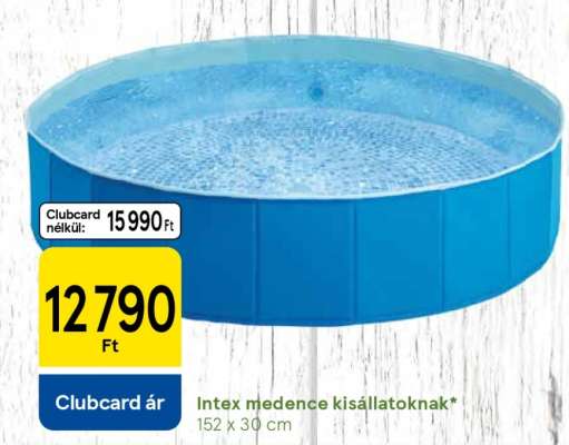 Intex medence kisállatoknak