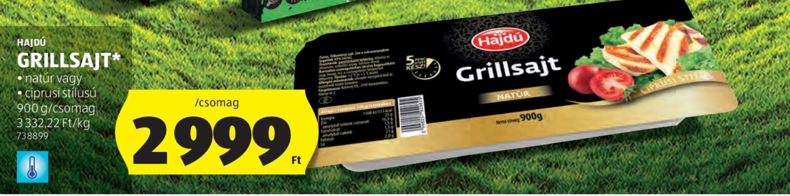 HAJDÚ GRILLSAJT
