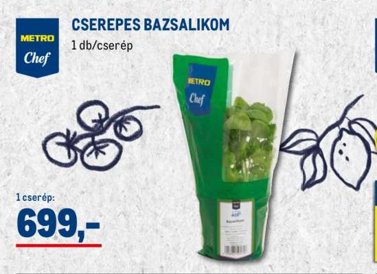 CSEREPES BAZSALIKOM