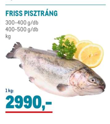 Friss pisztráng