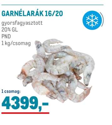 Garnélarák 16/20
