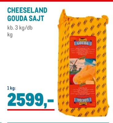 CHEESELAND GOUDA SAJT