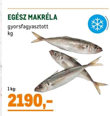Egész Makréla