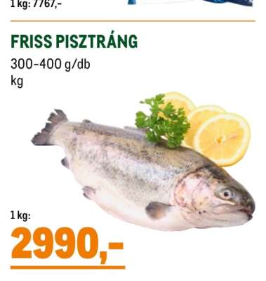 Friss pisztráng