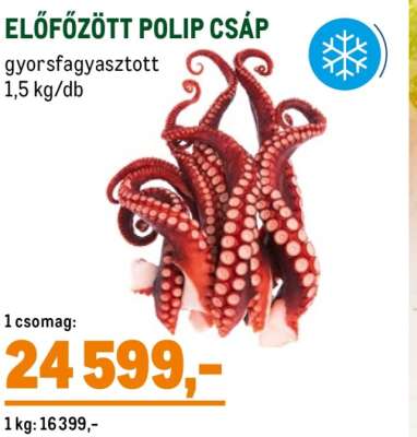 ELŐFŐZÖTT POLIP CSÁP