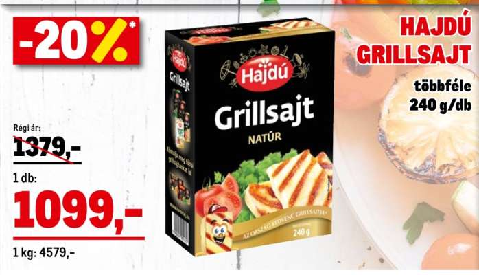 HAJDÚ GRILLSAJT
