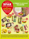 leaflet