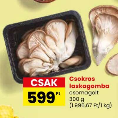 Csokros laskagomba