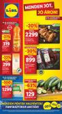 leaflet
