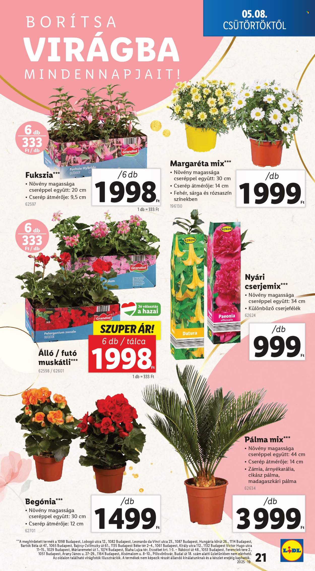 Lidl akciós újságok - 2025.05.08 - 2025.05.14. Oldal 1