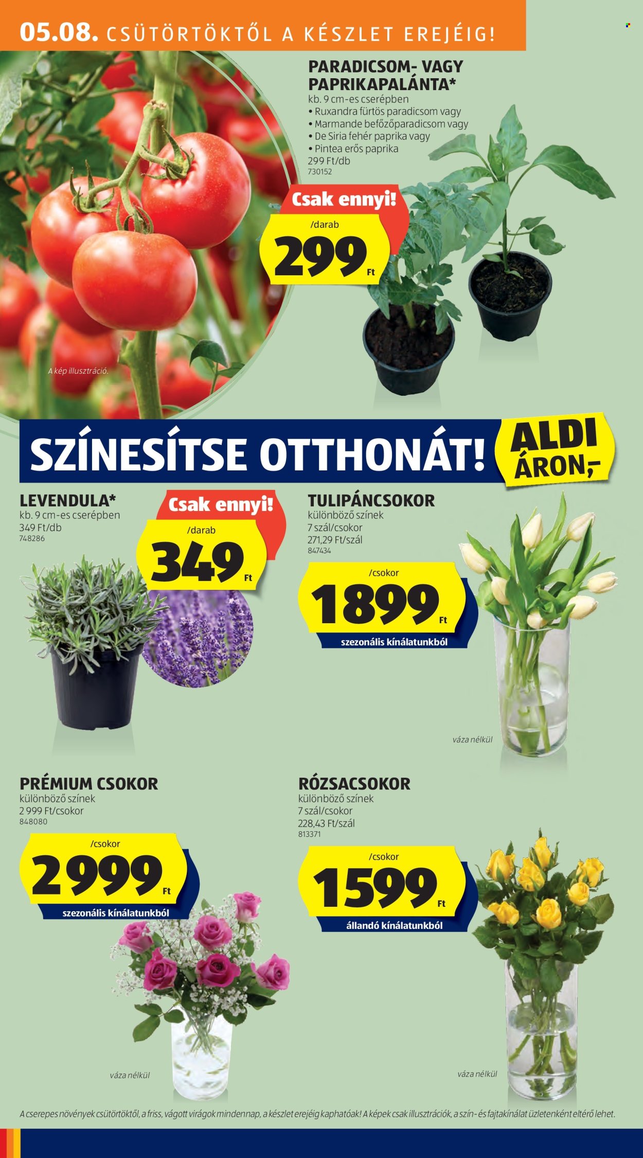 Aldi akciós újságok - 2025.05.08 - 2025.05.14. Oldal 1