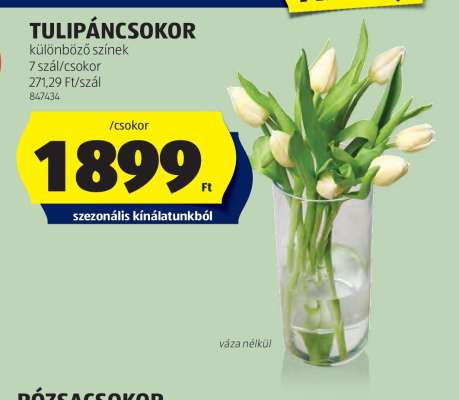 Tulipáncsokor