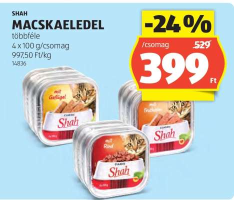 SHAH MACSKAELEDEL