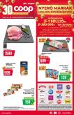 leaflet
