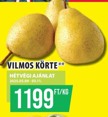 Vilmos Körte