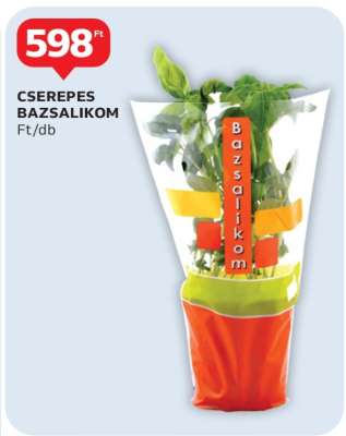 CSEREPES BAZSALIKOM