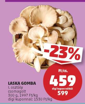 Laska Gomba