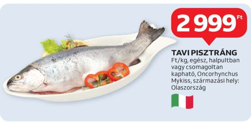 Tavi pisztráng