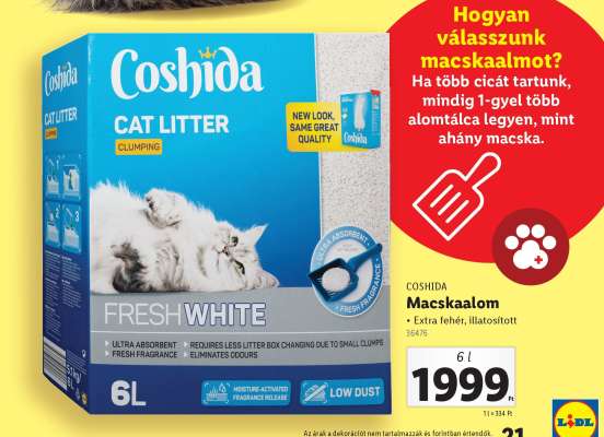 COSHIDA Macskaalom