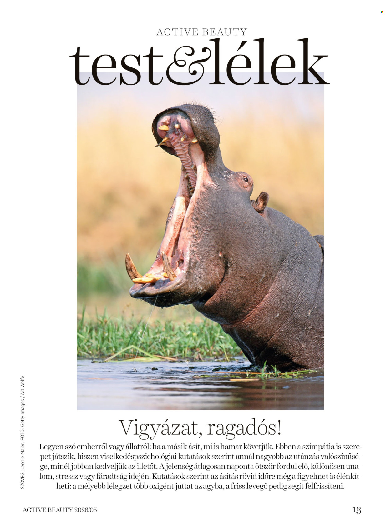 dm drogerie markt akciós újságok. Oldal 13