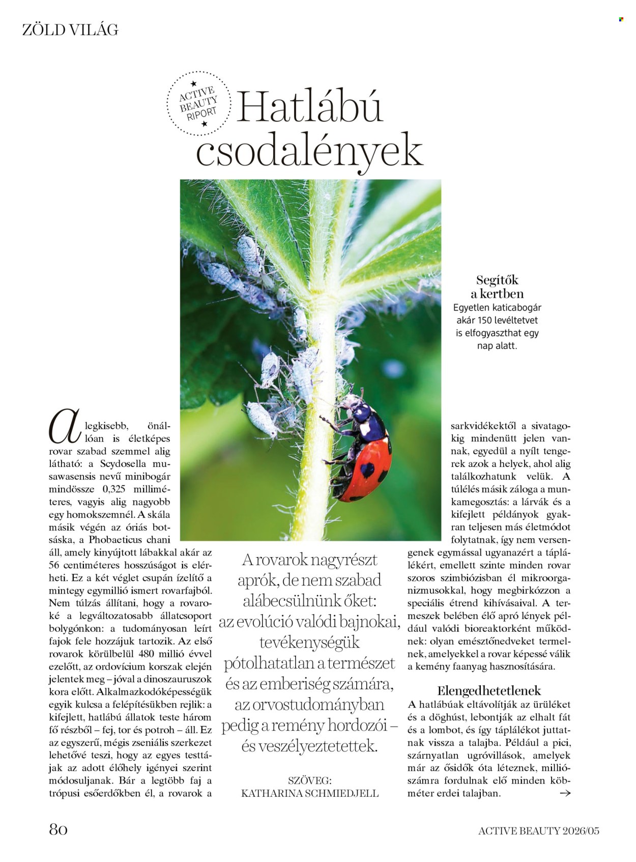 dm drogerie markt akciós újságok. Oldal 80
