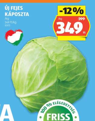 Új fejes káposzta