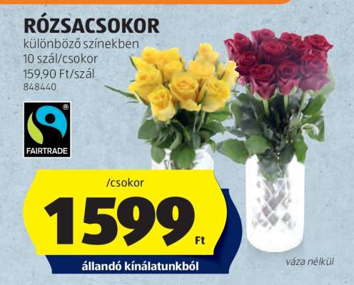 RÓZSACSOKOR