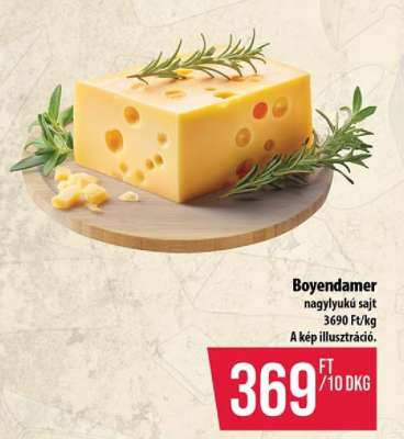 Boyendamer