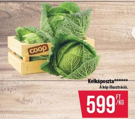 Kelkáposzta