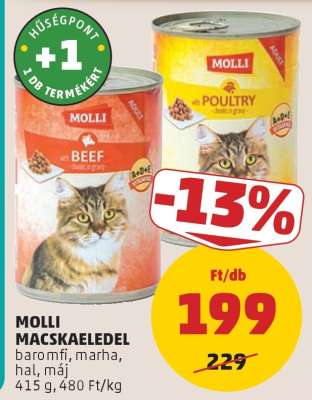 MOLLI MACSKAELEDEL