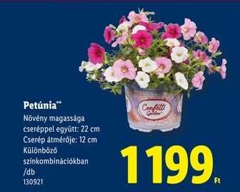 Petúnia*