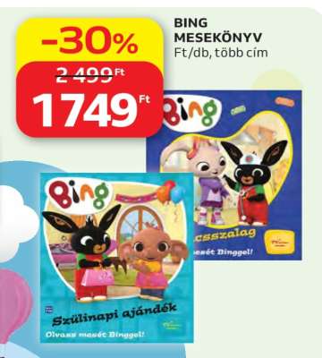 BING MESEKÖNYV