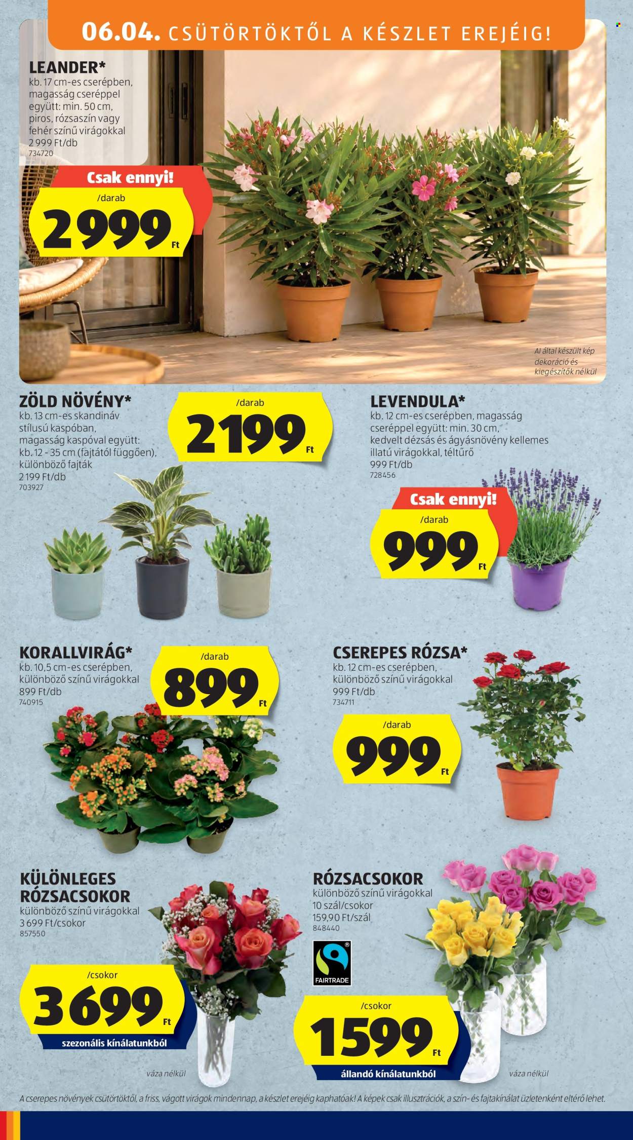 Aldi akciós újságok - 2026.06.04 - 2026.06.10. Oldal 32