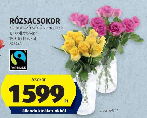 RÓZSACSOKOR