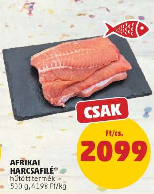 Afrikai Harcsafilé