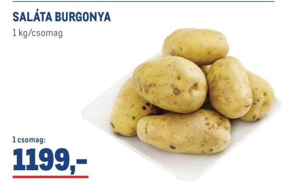 Saláta-burgonya