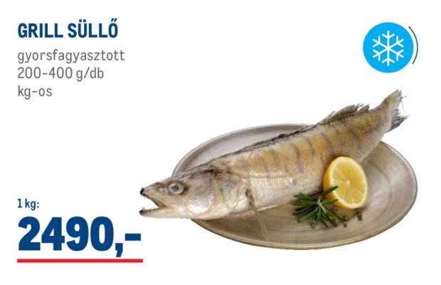 GRILL SÜLLŐ