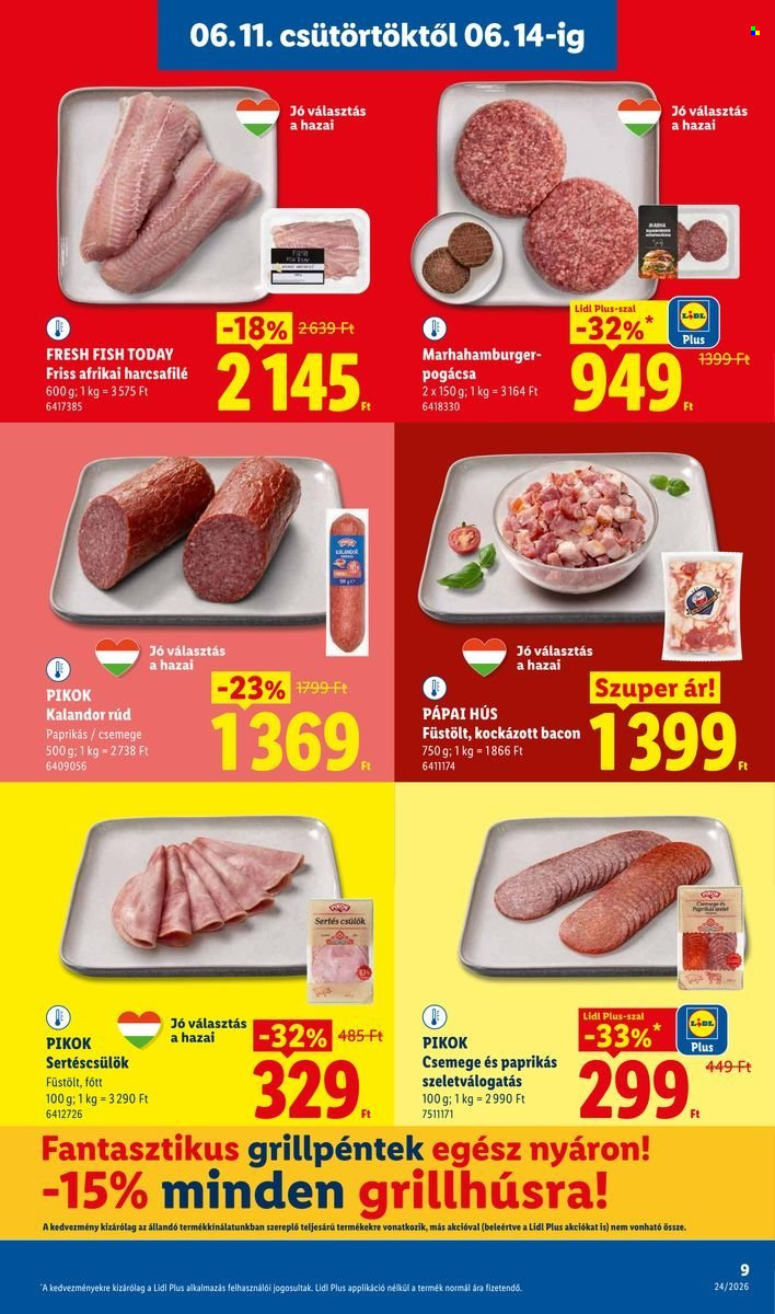 Lidl akciós újságok - 2026.06.11 - 2026.06.17. Oldal 9