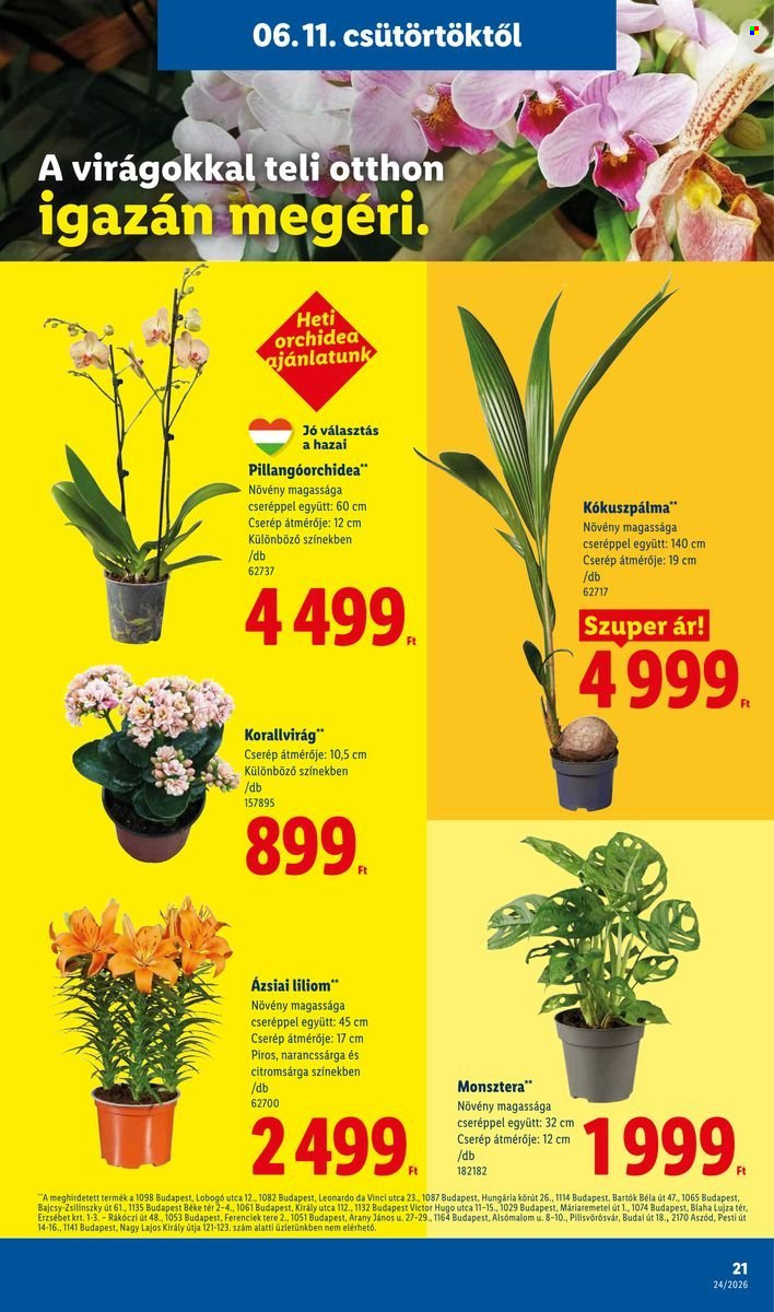 Lidl akciós újságok - 2026.06.11 - 2026.06.17. Oldal 21