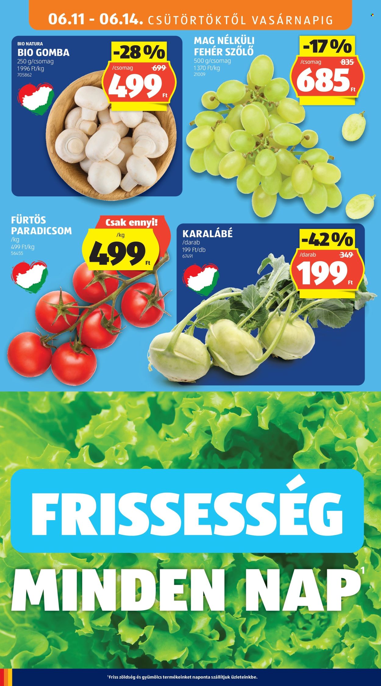 Aldi akciós újságok - 2026.06.11 - 2026.06.17. Oldal 10