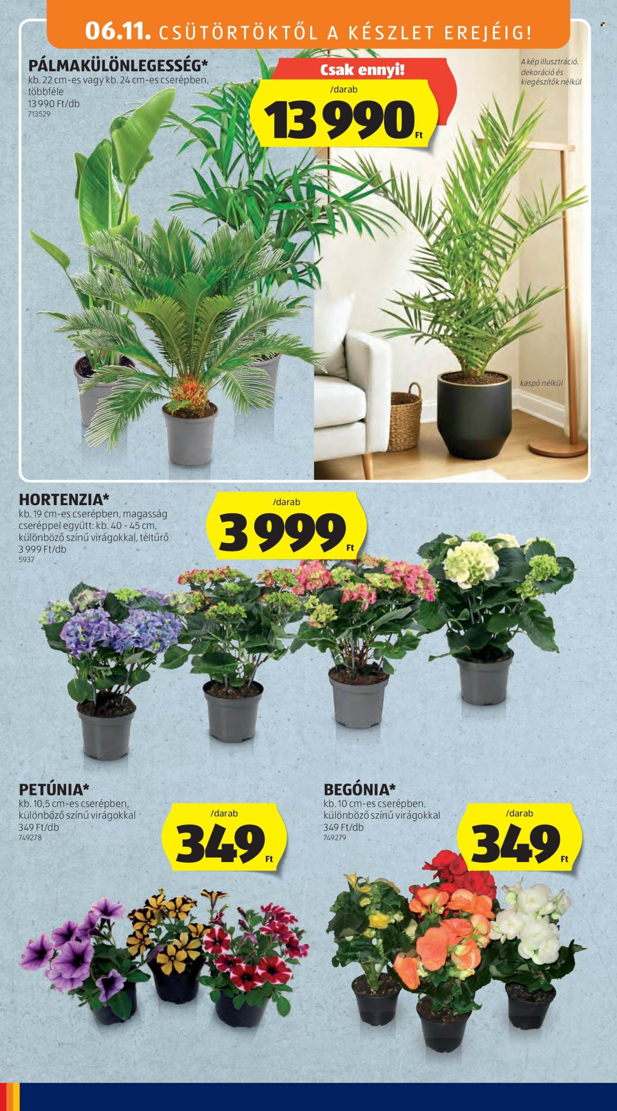 Aldi akciós újságok - 2026.06.11 - 2026.06.17. Oldal 34