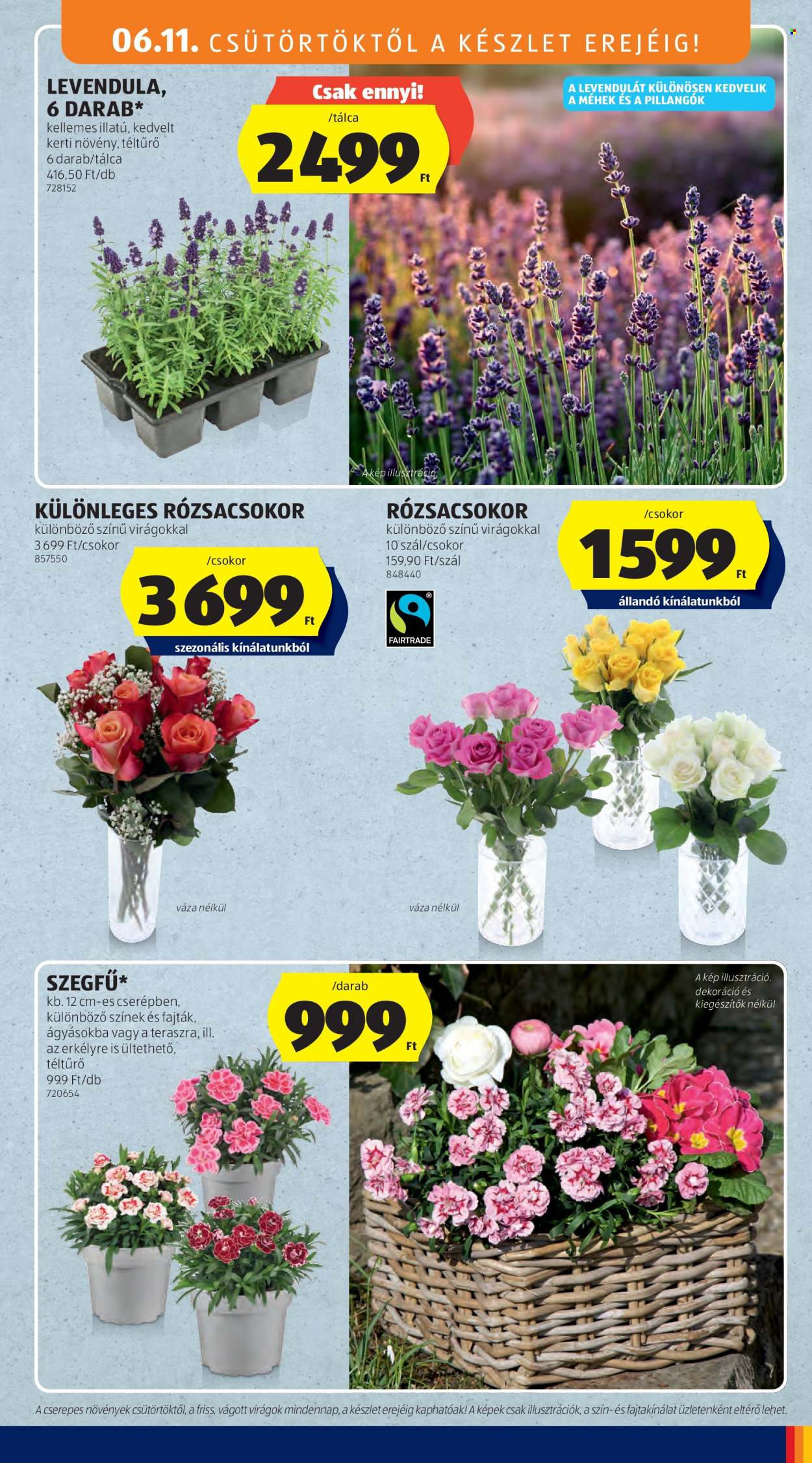 Aldi akciós újságok - 2026.06.11 - 2026.06.17. Oldal 35