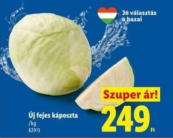 Új fejes káposzta