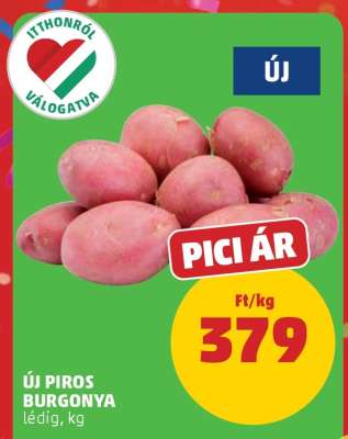 Új Piros Burgonya