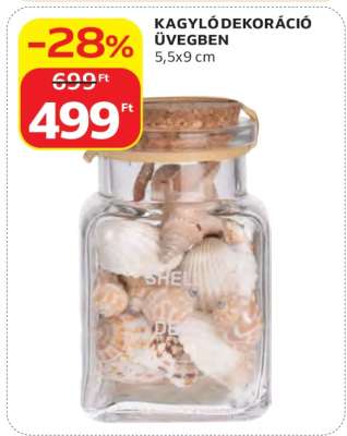 KAGYLÓ DEKORÁCIÓ ÜVEGBEN