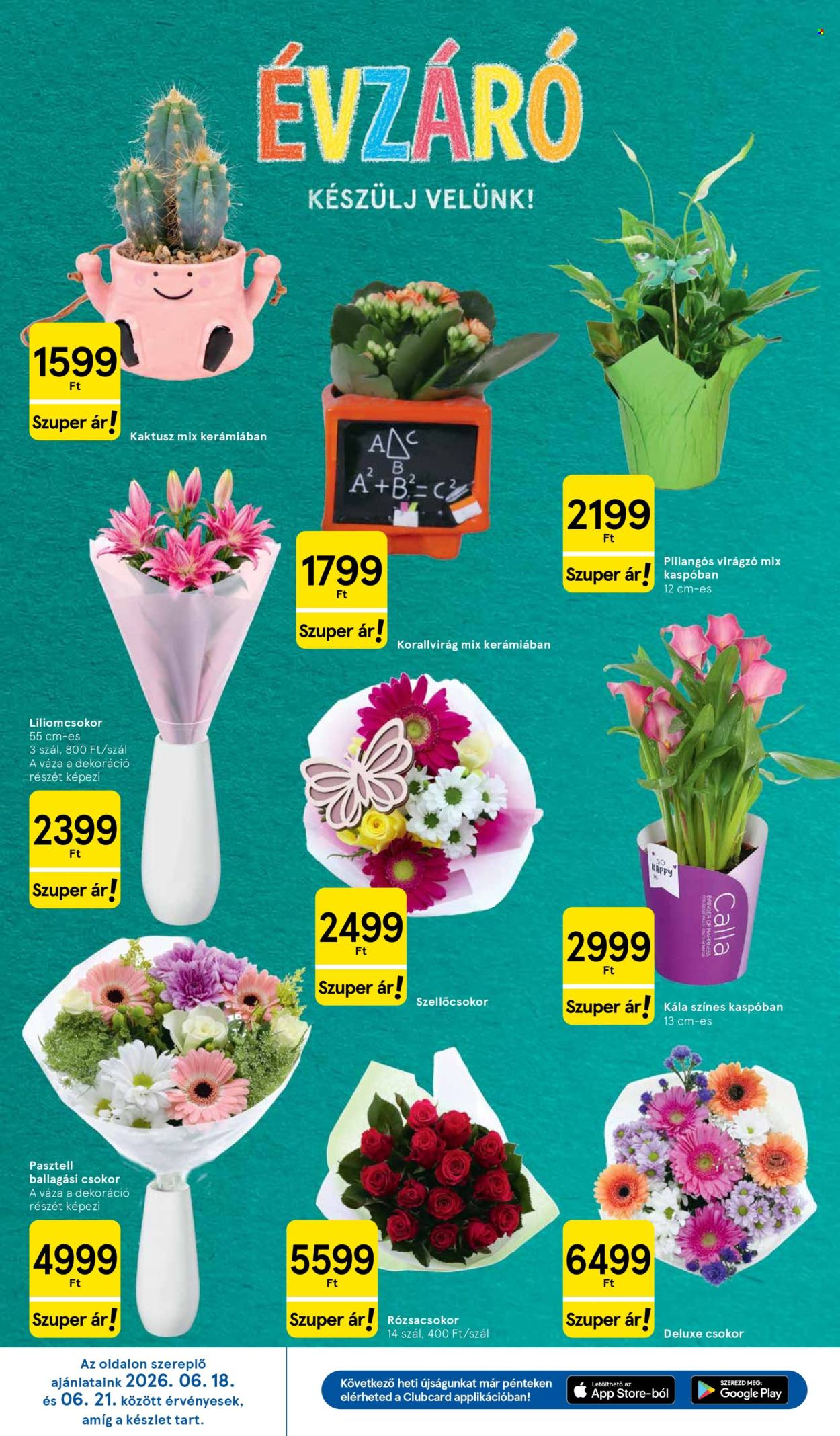 TESCO akciós újságok - 2026.06.18 - 2026.06.24. Oldal 10
