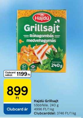 HAJDÚ GRILLSAJT